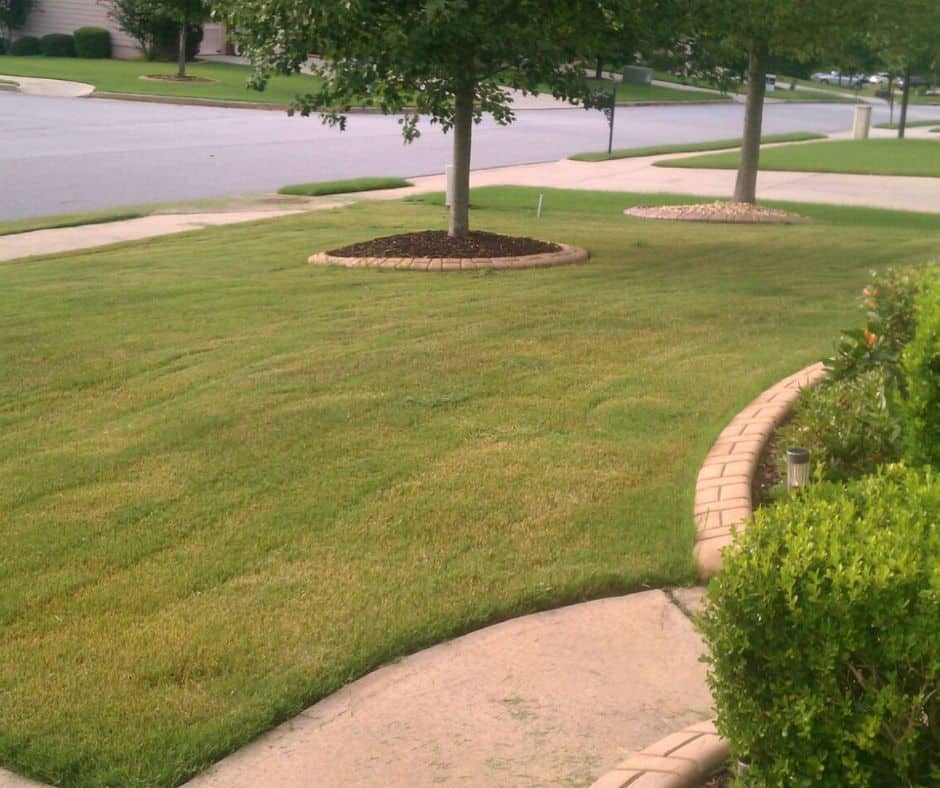 landscaped-yard-canva